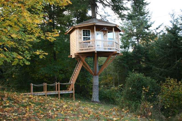 High Life Treehouse